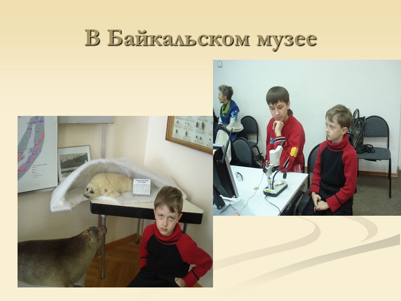 В Байкальском музее В Байкальском музее